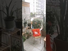 Stal nierdzewna gatunku 316 z klipsem zabezpieczającym do niewidocznych balustrad balkonowych