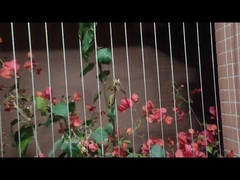 Niewidoczna kratka balkonowa Zabezpieczenie przed dziećmi Stal nierdzewna 316