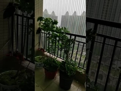 Bez przeszkód balkon grille z pojemnością 100 kg balkon niewidzialny grille