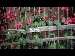 Modern Society Design Balkon Niewidzialna siatka z usługą przebijania i pojemnością ładunkową 100 kg